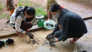 Nông dân kiếm tiền triệu mỗi tháng trong 'cơn sốt đỉa'