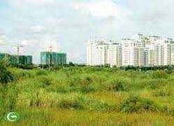 Bị anh trai, em gái kiện vì được mẹ...tặng nhà