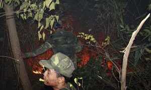 Sét đánh cháy rụi hàng chục ha rừng