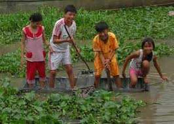 Bé gái 7 tuổi chết đuối trong hồ bơi