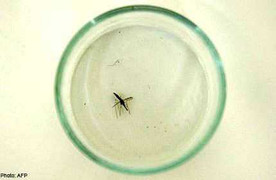 1/3 thuốc sốt rét ở Đông Nam Á là hàng giả