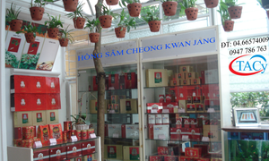 Hồng Sâm Hàn Quốc– Bí quyết chăm sóc sức khỏe của bạn