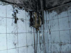 Bé gái gây cháy có phần nam tính vượt trội