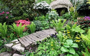 Chiêm ngưỡng những khu vườn kỳ diệu ở Chelsea