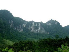 Quảng Bình: Lại thêm thông tin 3 cây sưa trăm tỷ bị hạ