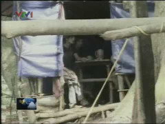 Bùng phát khai thác vàng trái phép, bất chấp nguy hiểm