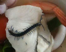 Ảnh: Kinh hãi thằn lằn, rết, giòi 'bơi' trong đồ ăn