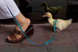 Ảnh quốc tế ấn tượng nhất trong ngày 27/5