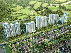 Thủ tướng yêu cầu điều tra vụ Văn Giang