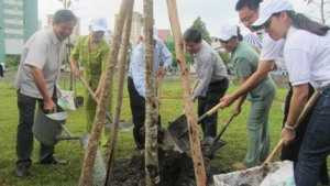 TP.HCM: Đóng góp 1 triệu cây xanh cho Việt Nam
