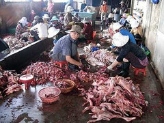 Thực phẩm bẩn: Những hình ảnh không thể tin nổi