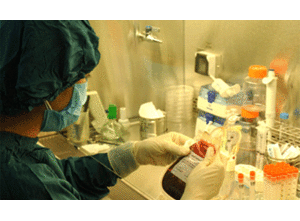 Bác sĩ pha loãng máu bán cho bệnh nhân bị đình chỉ