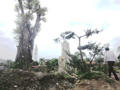 Video, ảnh: 'Siêu vườn' vẫn đang được hoàn thiện