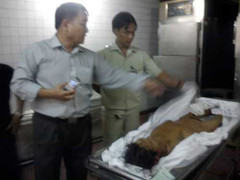 Làm ăn từ tử thi ở nhà xác