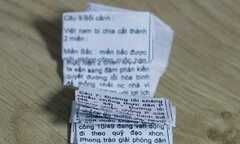 Sĩ tử Thủ đô