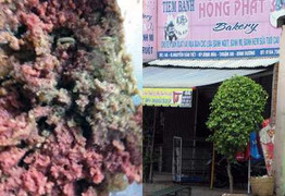 Tháng 5: Dòi xuất hiện liên tục trong thực phẩm