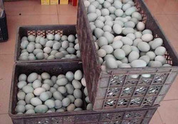 Trứng vịt muối 'dính' chất gây ung thư