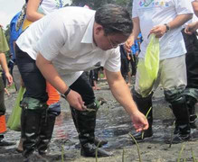 Ảnh: Phó Thủ tướng xắn quần, lội bùn trồng cây