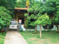 Vụ gỗ huê trăm tỷ: 5 người bị khởi tố