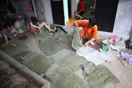 Kiếm gần 2 cây vàng/tháng nhờ vợt châu chấu