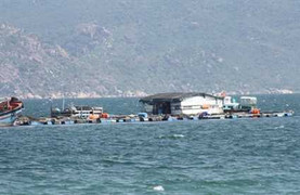 Người Trung Quốc nuôi tôm ở Nha Trang không trình diện