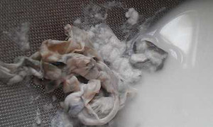 Giật mình phát hiện giấy vệ sinh lẫn trong sữa tươi