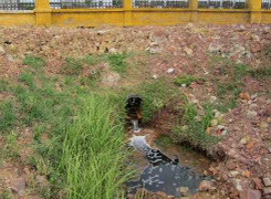 Phát hiện một công ty bia xả thải nước chưa qua xử lý