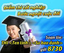 VTC Mobile cung cấp dịch vụ tra cứu điểm thi