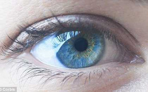 Hy vọng phục hồi thị lực bằng tế bào gốc