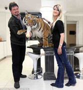 Kỳ lạ gia đình nuôi hổ như… thú cưng