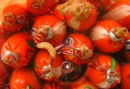 Đồng Nai: Xúc xích tiệt trùng cho trẻ em lúc nhúc giòi