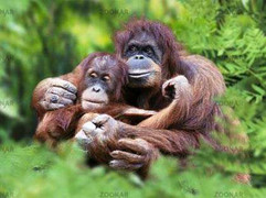 Lạc vào vùng đất của tổ tiên loài người