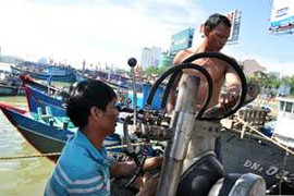 Gần 5 triệu người Việt Nam sống nhờ nghề cá