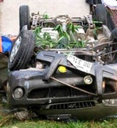 Xe chở động vật hoang dã bị tai nạn, một người chết