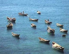 Hơn 45 nghìn tàu thuyền tránh bão số 2