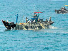 Tuyên bố của người phát ngôn Bộ Ngoại giao về Luật biển