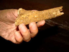 Đi tìm bộ xương cụ tổ 1 vạn tuổi ở Ninh Bình