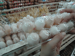 Tràn lan trứng gà ác 'giả'