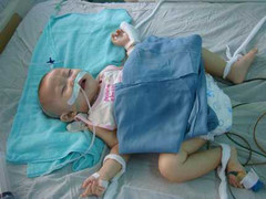 Thương tâm bé 10 tháng tuổi bị bố ném xuống nền nhà