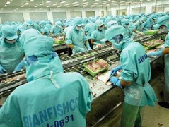 Hàng loạt gói giải pháp của ngân hàng, DN vẫn 'chết'