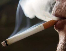 Bố hút thuốc làm tăng nguy cơ ung thư ở con