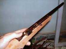 Một sinh viên bị 'cẩu tặc' bắn chết