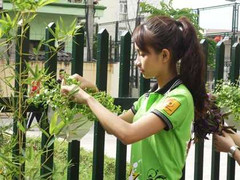 Nữ sinh Hà Thành trồng cây bảo vệ môi trường