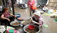 Bà nội trợ 'săn' rau dại, cá đồng