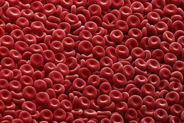 Tiêm oxy vào mạch máu: Giải pháp cấp cứu mới