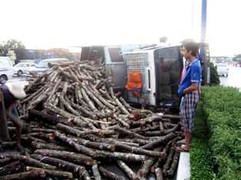 Bị xe gỗ lật đè, 4 người thoát chết trong gang tấc