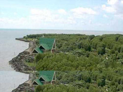 Mũi Cà Mau có thể sẽ biến mất?