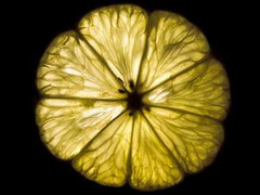 Thị trường Mỹ rúng động vì nước chanh không nguyên chất