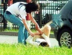 Đánh ghen bằng... phân lợn tại Hà Nội