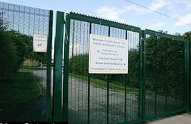 Nói dối, một giáo viên bị cấm dạy 5 năm